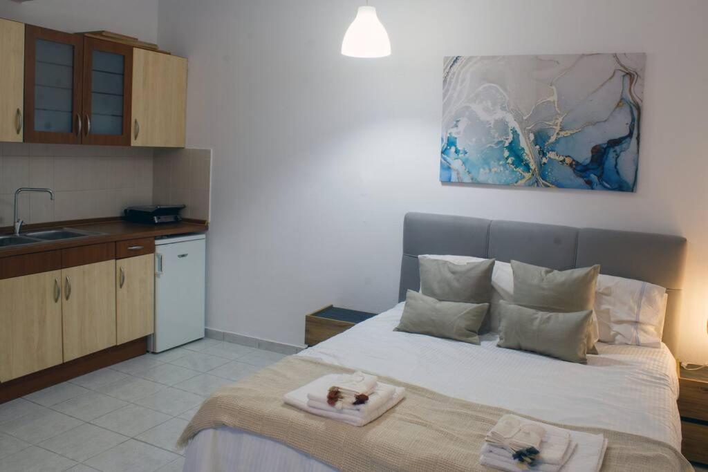 οικία αποζαρι μικρή περσα Appartement Kastoria
